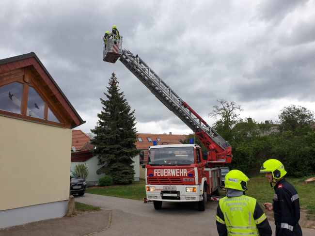 Foto 1, 27.04.2019, Technischer Einsatz - Katze von Baum gerettet