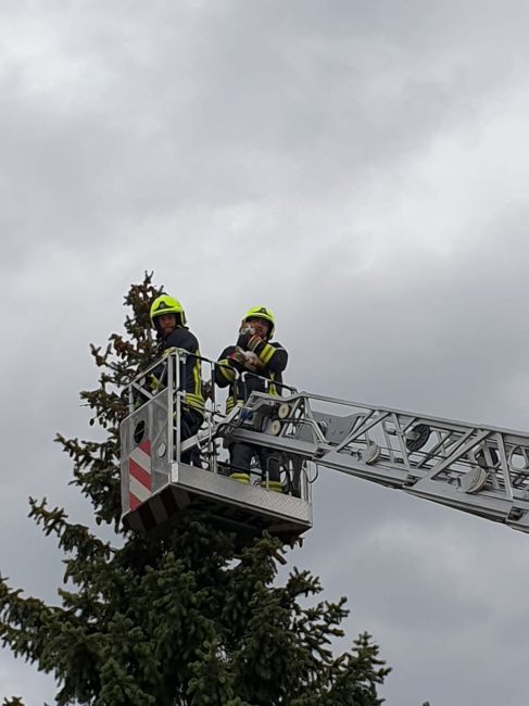 Foto 3, 27.04.2019, Technischer Einsatz - Katze von Baum gerettet
