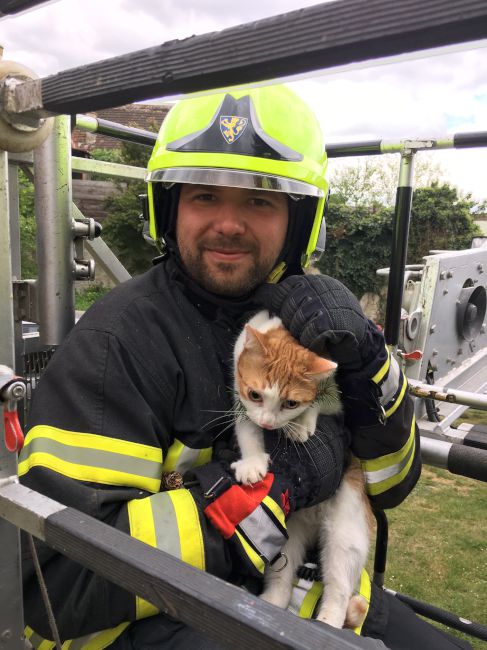 Foto 5, 27.04.2019, Technischer Einsatz - Katze von Baum gerettet