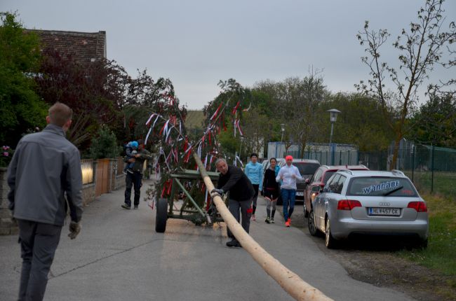 Foto 19, 09.05.2019, Maibaum aufstellen 2019 Foto 19, 09.05.2019, Maibaum aufstellen 2019