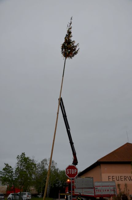 Foto 27, 09.05.2019, Maibaum aufstellen 2019 Foto 27, 09.05.2019, Maibaum aufstellen 2019