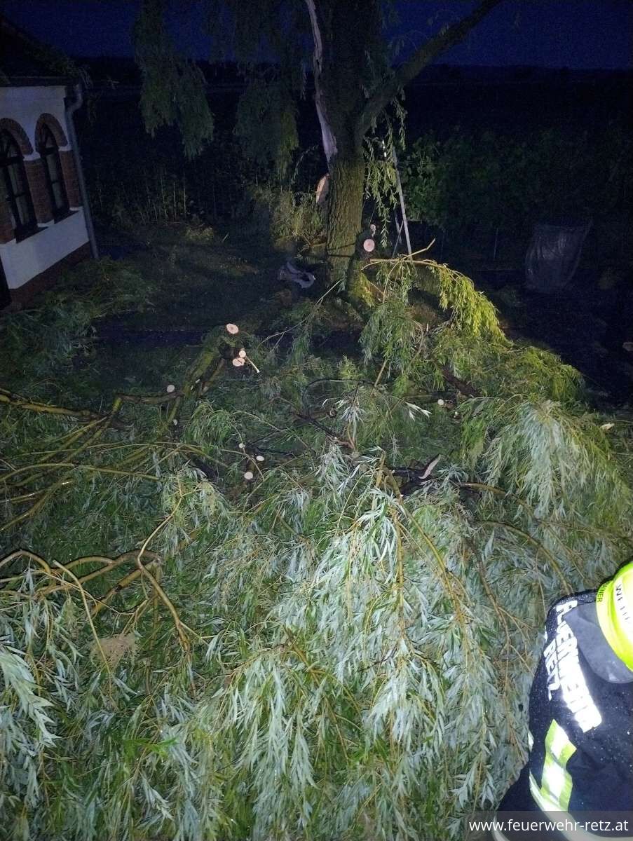Foto 1, 27.06.2025, Technischer Einsatz - Baum auf Gebäude Foto 1, 27.06.2025, Technischer Einsatz - Baum auf Gebäude