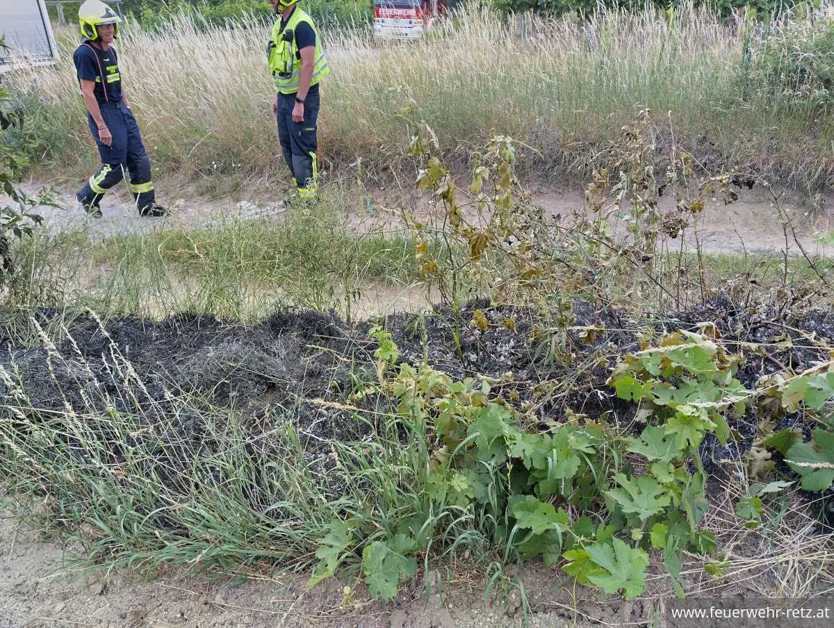 Foto 4, 24.06.2026, Brandeinsatz - Vegetationsbrand nach Mäharbeiten rasch gelöscht