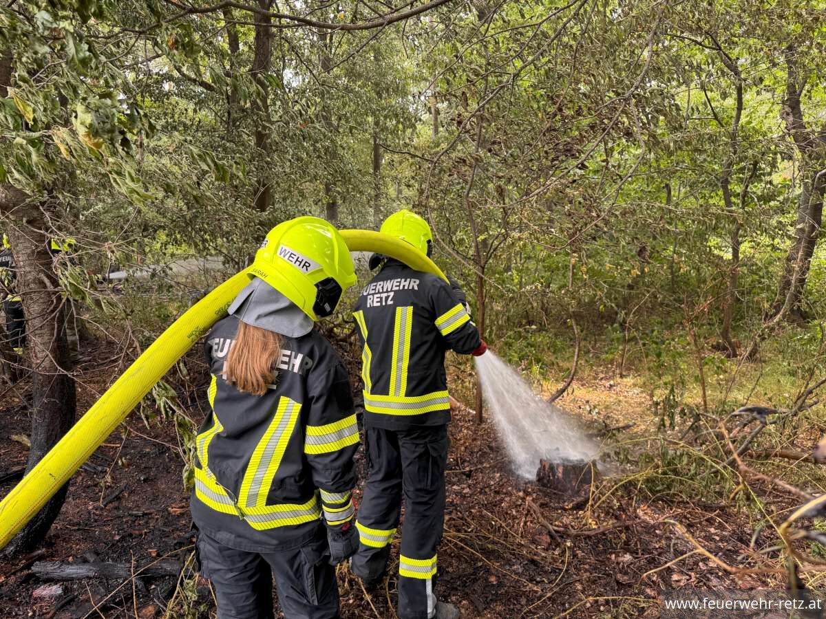 Foto 3, 15.07.2026, Brandeinsatz - Feldbrand in Riegersburg rasch unter Kontrolle gebracht