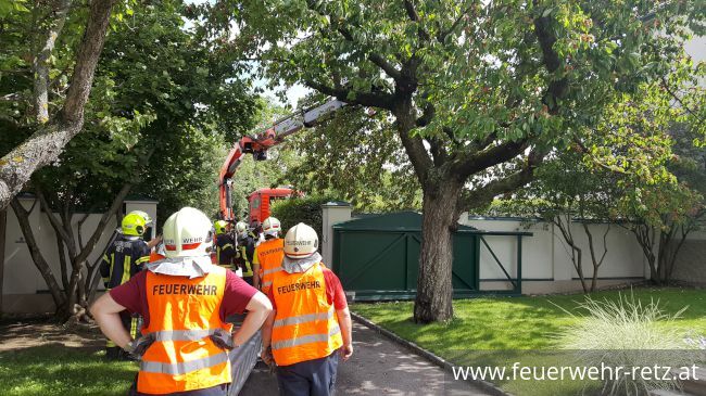 Foto 2, 21.06.2020, Technischer Einsatz - Sturmschaden - Baum drohte auf Mauer zu stürzen