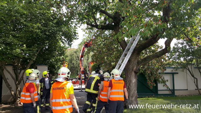 Foto 3, 21.06.2020, Technischer Einsatz - Sturmschaden - Baum drohte auf Mauer zu stürzen