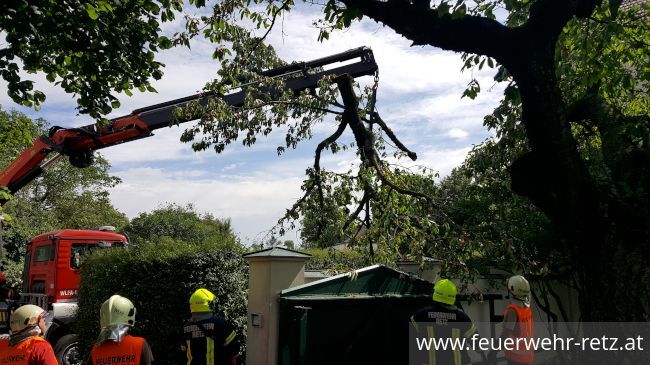 Foto 4, 21.06.2020, Technischer Einsatz - Sturmschaden - Baum drohte auf Mauer zu stürzen