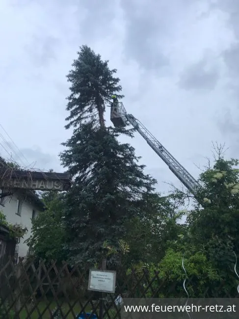 Foto 5, 08.06.2020, Technischer Einsatz - Baum droht auf Haus zu stürzen
