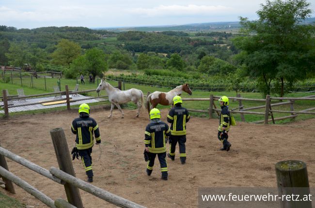 Foto 4, 30.07.2019, Übung - Brand Reithalle und Wald Foto 4, 30.07.2019, Übung - Brand Reithalle und Wald