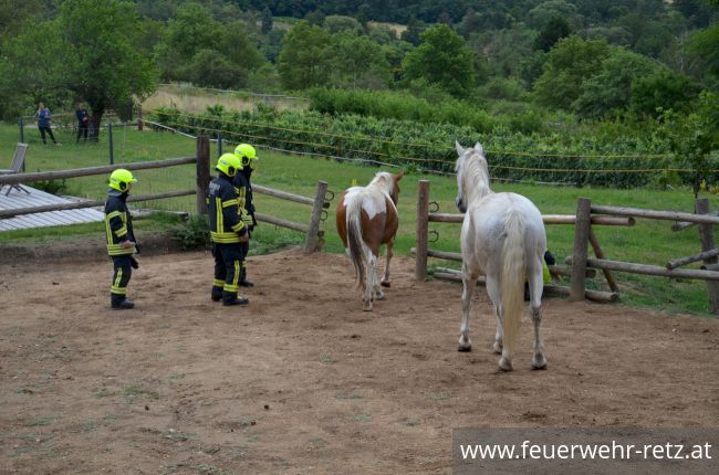 Foto 5, 30.07.2019, Übung - Brand Reithalle und Wald Foto 5, 30.07.2019, Übung - Brand Reithalle und Wald