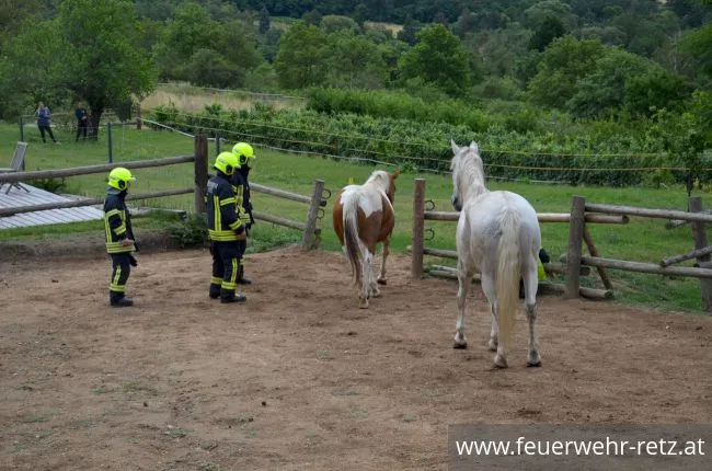 Foto 5, 30.07.2019, Übung - Brand Reithalle und Wald