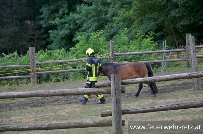 Foto 6, 30.07.2019, Übung - Brand Reithalle und Wald Foto 6, 30.07.2019, Übung - Brand Reithalle und Wald