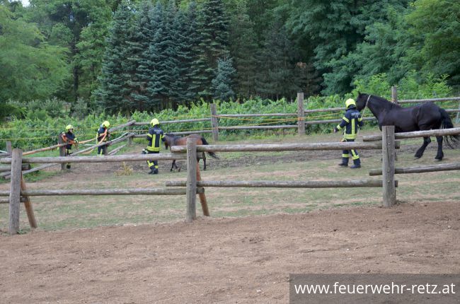 Foto 7, 30.07.2019, Übung - Brand Reithalle und Wald Foto 7, 30.07.2019, Übung - Brand Reithalle und Wald