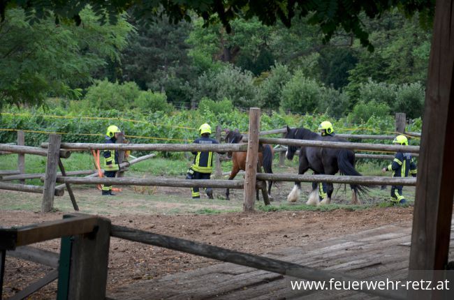 Foto 9, 30.07.2019, Übung - Brand Reithalle und Wald Foto 9, 30.07.2019, Übung - Brand Reithalle und Wald