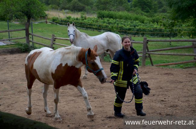 Foto 20, 30.07.2019, Übung - Brand Reithalle und Wald Foto 20, 30.07.2019, Übung - Brand Reithalle und Wald