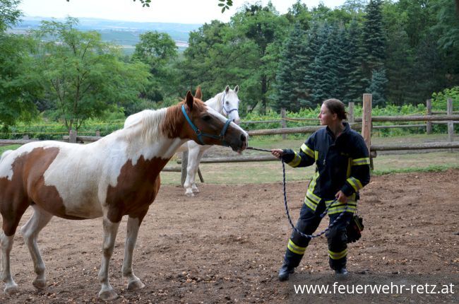 Foto 21, 30.07.2019, Übung - Brand Reithalle und Wald Foto 21, 30.07.2019, Übung - Brand Reithalle und Wald