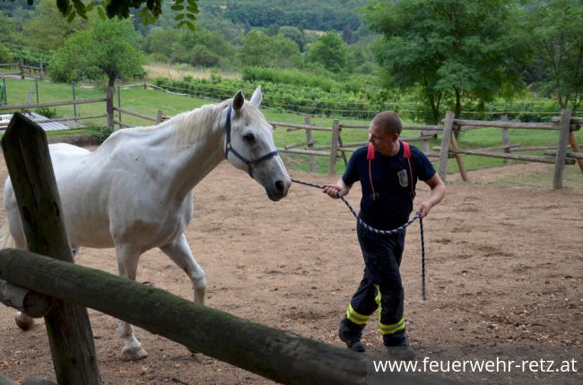 Foto 22, 30.07.2019, Übung - Brand Reithalle und Wald Foto 22, 30.07.2019, Übung - Brand Reithalle und Wald