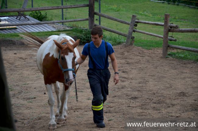 Foto 23, 30.07.2019, Übung - Brand Reithalle und Wald Foto 23, 30.07.2019, Übung - Brand Reithalle und Wald