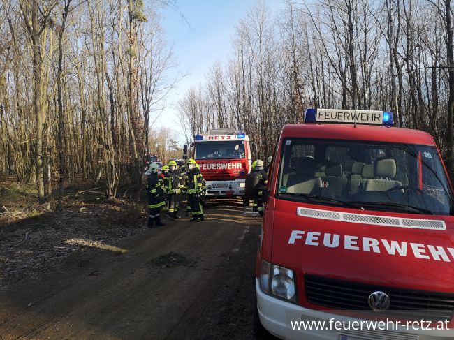 Foto 3, 03.02.2022, Technischer Einsatz - Forstunfall