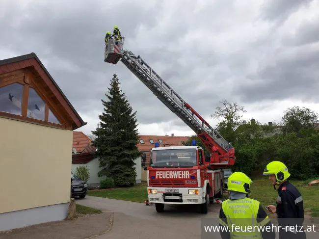 Foto 1, 27.04.2019, Technischer Einsatz - Katze von Baum gerettet