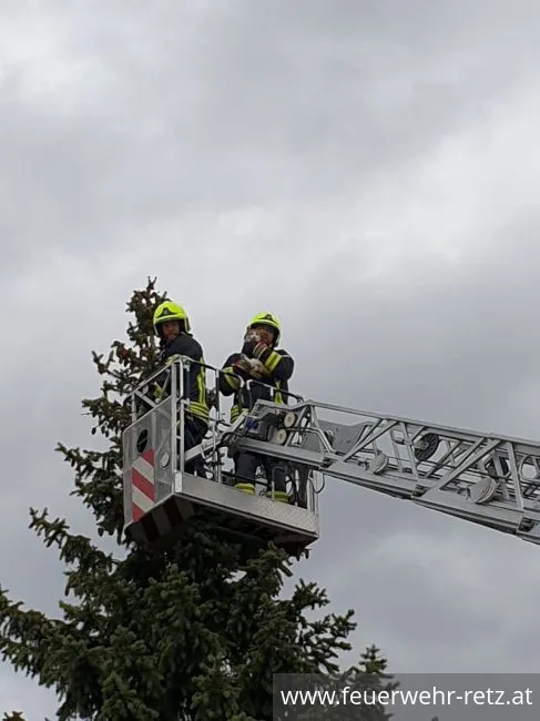 Foto 3, 27.04.2019, Technischer Einsatz - Katze von Baum gerettet