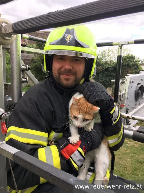 Foto 5, 27.04.2019, Technischer Einsatz - Katze von Baum gerettet