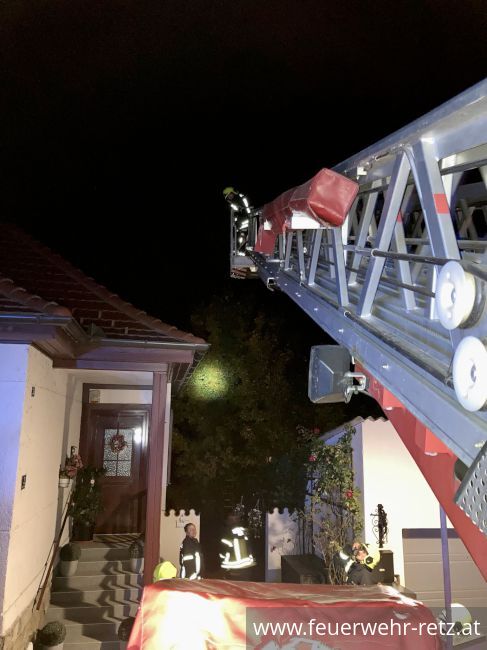 Foto 2, 18.10.2021, Technischer Einsatz - Katze von Baum gerettet Foto 2, 18.10.2021, Technischer Einsatz - Katze von Baum gerettet