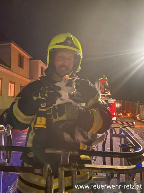 Foto 3, 18.10.2021, Technischer Einsatz - Katze von Baum gerettet Foto 3, 18.10.2021, Technischer Einsatz - Katze von Baum gerettet