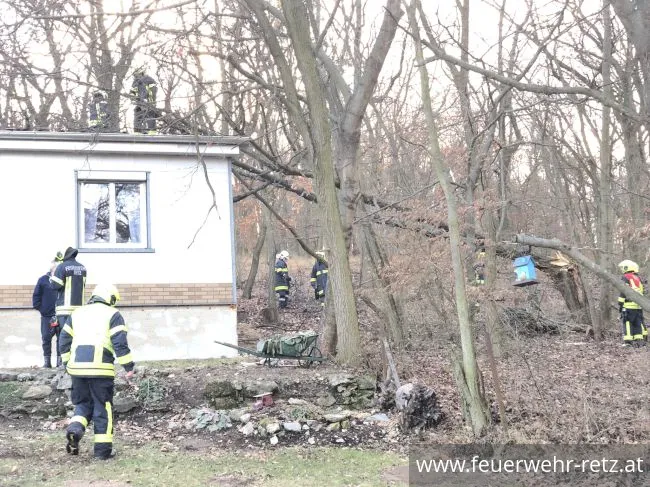 Foto 2, 31.01.2022, Technischer Einsatz - Sturmschaden