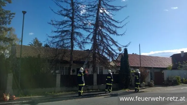 Foto 2, 29.10.2017, Technischer Einsatz - WLFA-K bei Sturmschadeneinsatz in Watzelsdorf