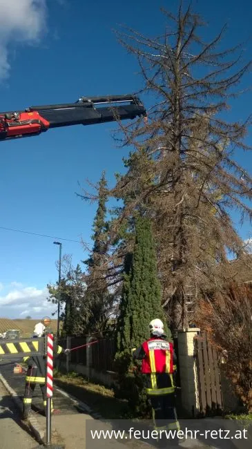 Foto 5, 29.10.2017, Technischer Einsatz - WLFA-K bei Sturmschadeneinsatz in Watzelsdorf