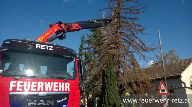 Foto 6, 29.10.2017, Technischer Einsatz - WLFA-K bei Sturmschadeneinsatz in Watzelsdorf
