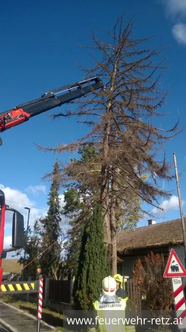 Foto 8, 29.10.2017, Technischer Einsatz - WLFA-K bei Sturmschadeneinsatz in Watzelsdorf