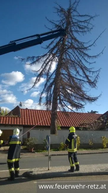 Foto 9, 29.10.2017, Technischer Einsatz - WLFA-K bei Sturmschadeneinsatz in Watzelsdorf