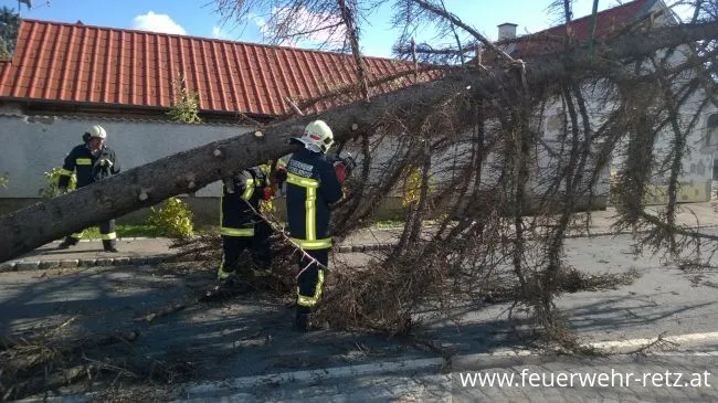 Foto 12, 29.10.2017, Technischer Einsatz - WLFA-K bei Sturmschadeneinsatz in Watzelsdorf