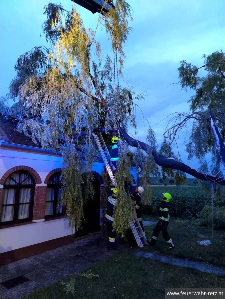 Foto 2, 27.06.2025, Technischer Einsatz - Baum auf Gebäude Foto 2, 27.06.2025, Technischer Einsatz - Baum auf Gebäude