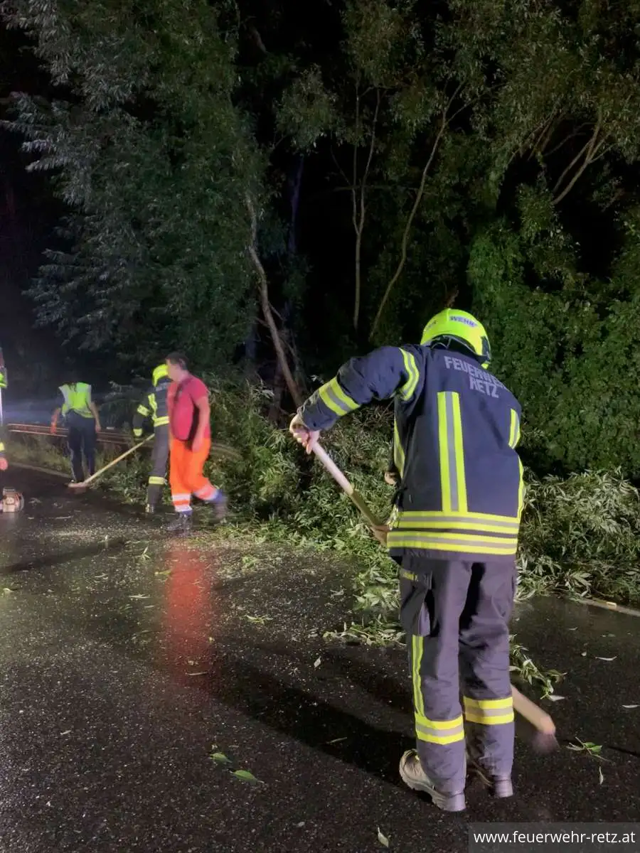 Foto 3, 19.08.2024, Technischer Einsatz - Sturmschaden - Baum auf Strasse