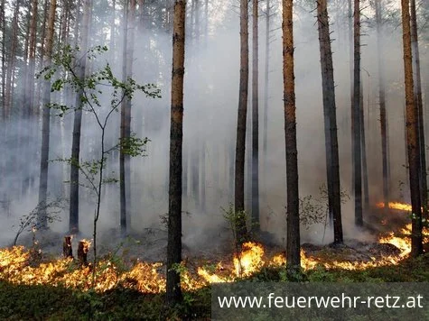 Foto 1, 09.05.2018, Waldbrandverordnung 2018 - In den Waldgebieten ist jegliches Feuerentzünden und Rauchen verboten